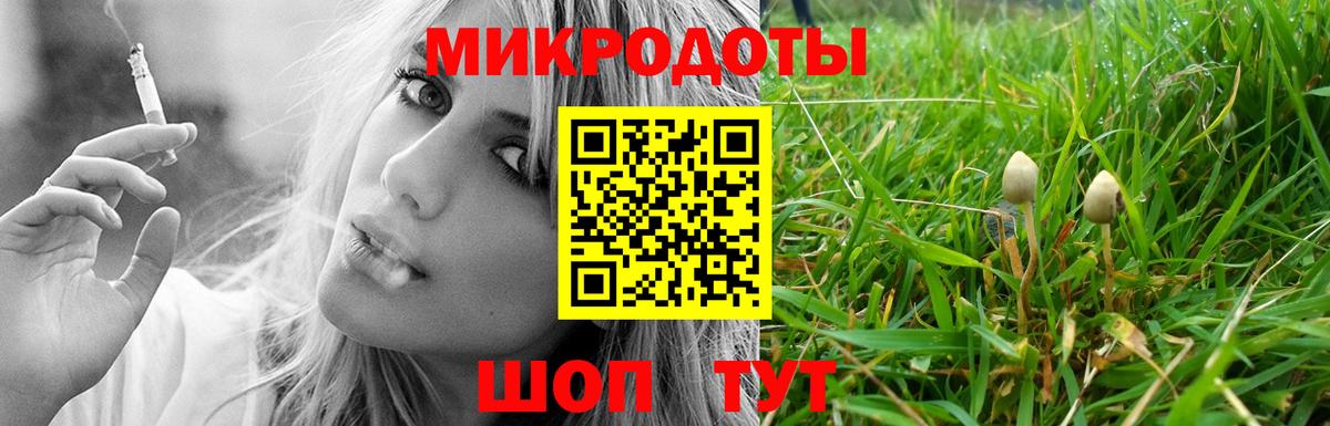 Галлюциногенные грибы Cubensis Бугуруслан